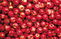 Obst und Gem&uuml;se