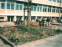 Grundschule Kallstadt